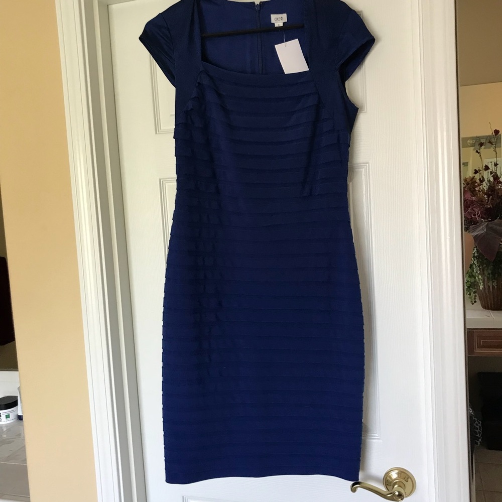 Blue cache dress